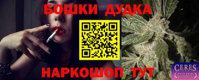 a pvp Обнинск
