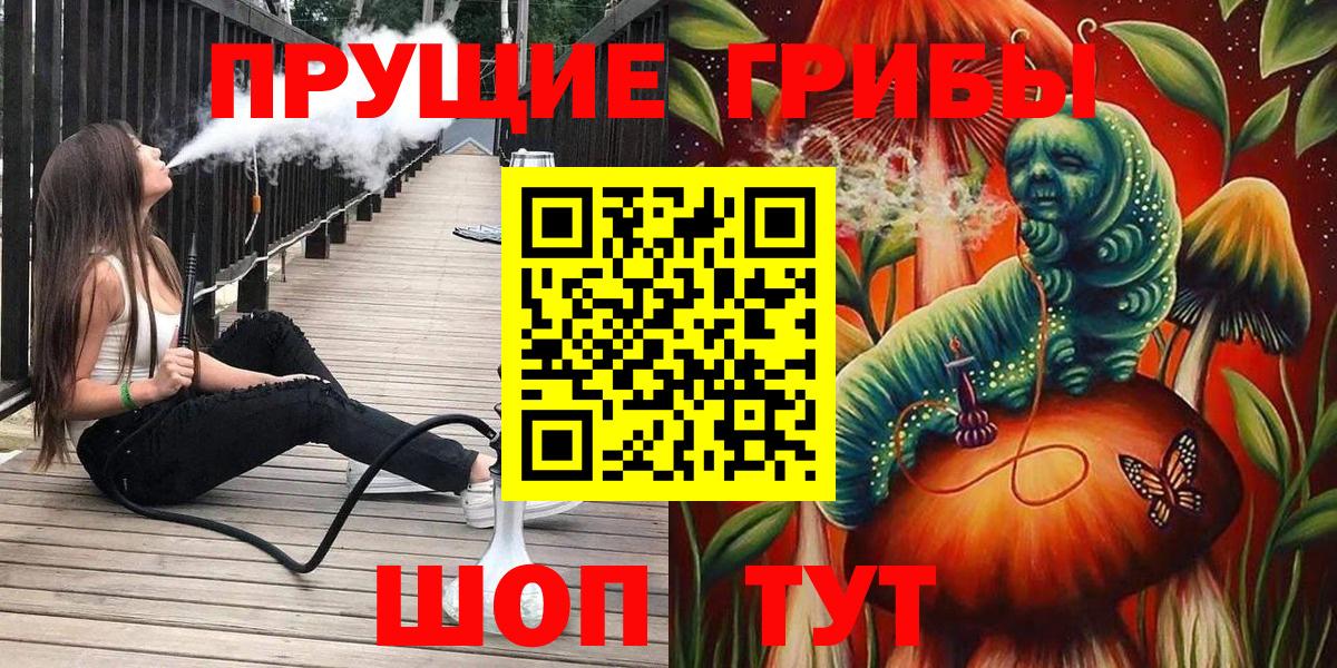 Псилоцибиновые грибы мицелий Саранск