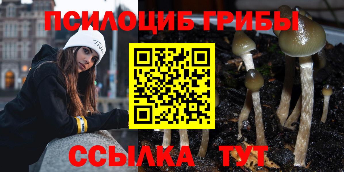 Саранск  Галлюциногенные грибы GOLDEN TEACHER  Вход с VPN  Псилоцибиновые грибы MAGIC MUSHROOMS 